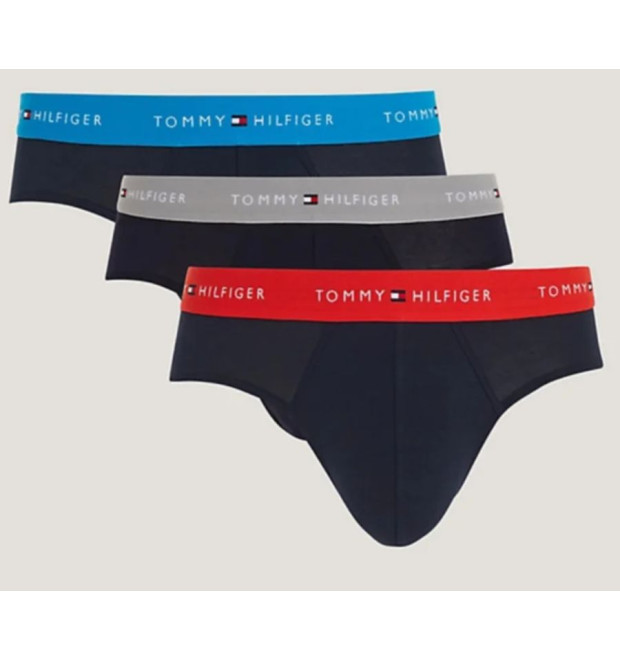 Pánske slipy Tommy Hilfiger 3Pack Pánske slipy Tommy Hilfiger 3Pack