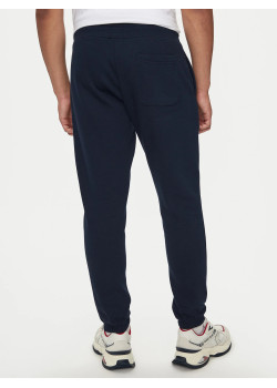 Pánske Slim Fit joggery Tommy Jeans modré