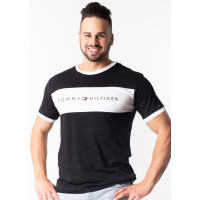Pánske tričko Tommy Hilfiger Pánske tričko Tommy Hilfiger