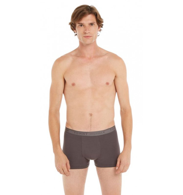 Pánske krátke boxerky Tommy Hilfiger sivé Pánske krátke boxerky Tommy Hilfiger sivé