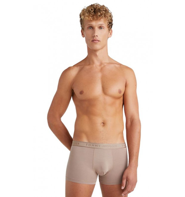 Pánske krátke boxerky Tommy Hilfiger Pánske krátke boxerky Tommy Hilfiger