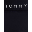 Pánske plavkové slipy Tommy Hilfiger Pánske plavkové slipy Tommy Hilfiger