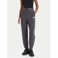 EA7 Emporio Armani dámske tepláky s dizajnovým pásom sivá EA7 Emporio Armani dámske tepláky s dizajnovým pásom sivá