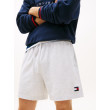 Tommy Jeans pánske kraťasy sivé